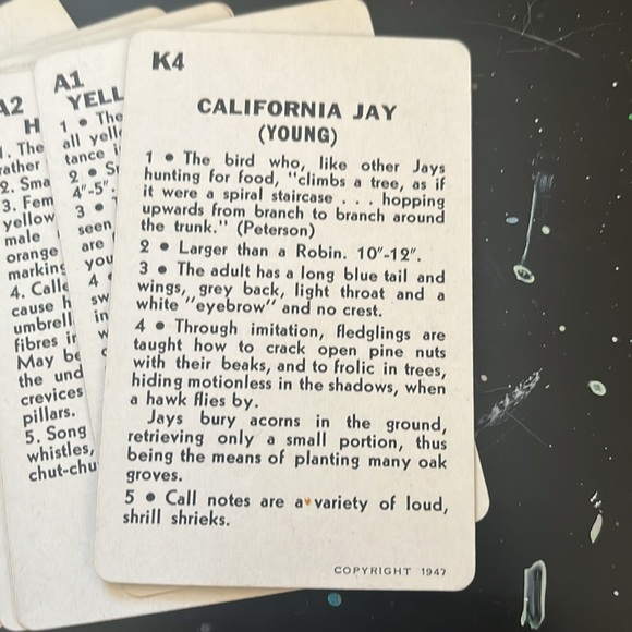 Traindex Colorful Birds of North America Cards - Picture 4 of 4